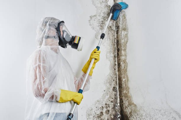 Best Emergency Mold Removal  in Clear Lake, WI