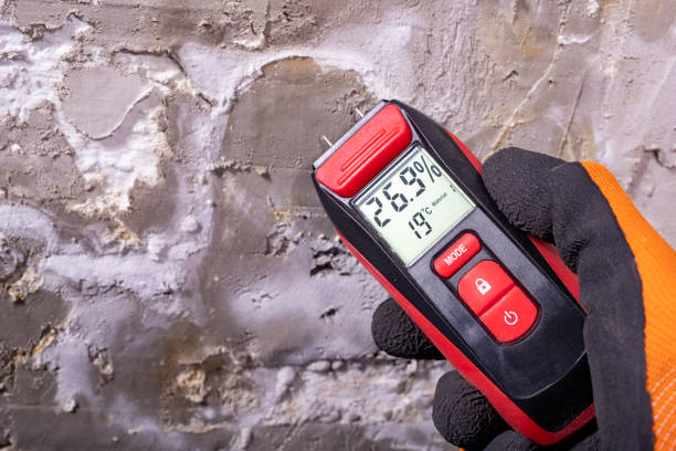 Trusted Clear Lake, WI Mold Removal Experts