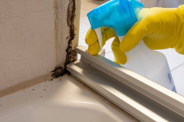 Best Mold Testing  in Clear Lake, WI