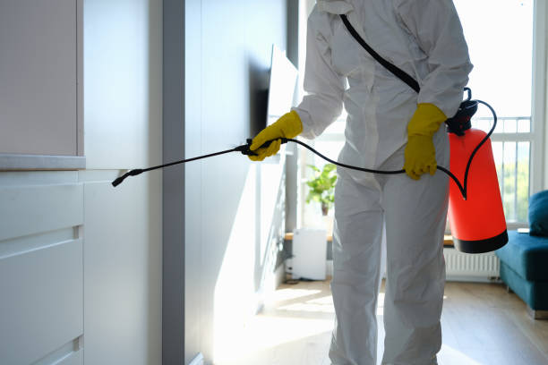 Mold Removal Process in Clear Lake, WI