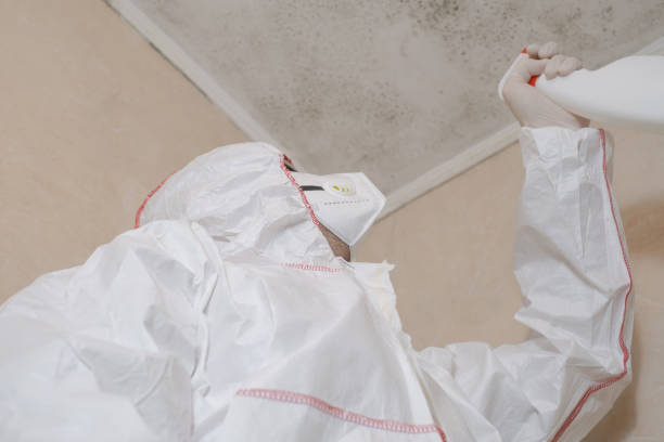 Best Certified Mold Removal  in Clear Lake, WI