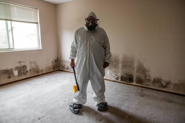 Best Mold Testing  in Clear Lake, WI